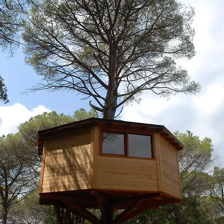 Campo de lujo Dosrius Canyamars